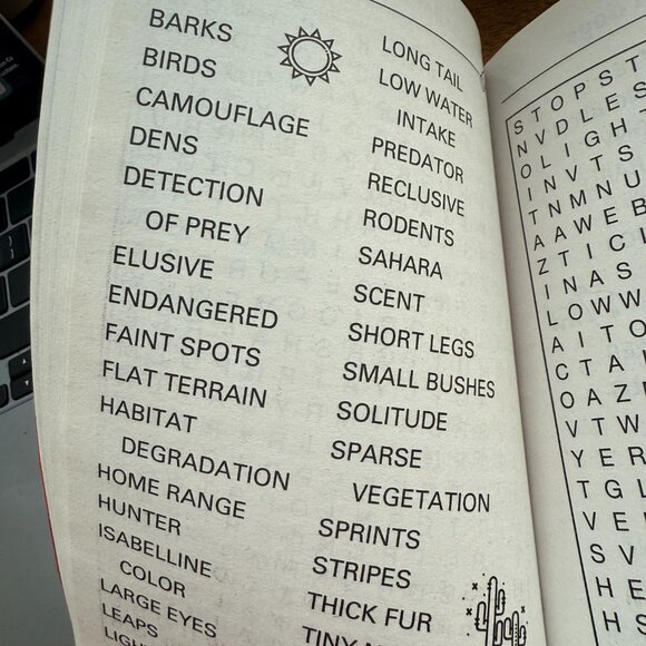 Cat Lovers Word Search Booklet - Picture 3 of 7